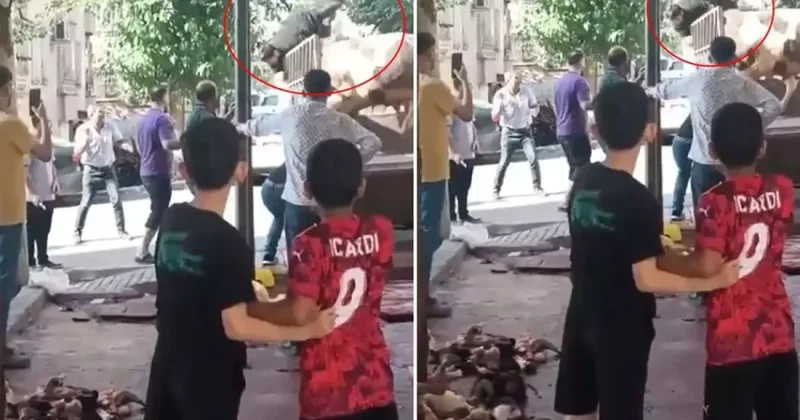 Qurbanlıq üçün gətirilən öküz DƏHŞƏT SAÇDI