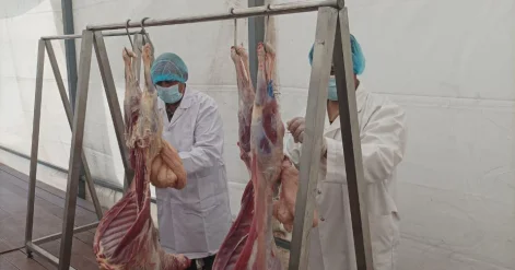 Muxtar respublika üzrə 8 ünvanda qurbanlıq heyvanların satışı və kəsimi xidmətləri təşkil olunub FOTOLAR