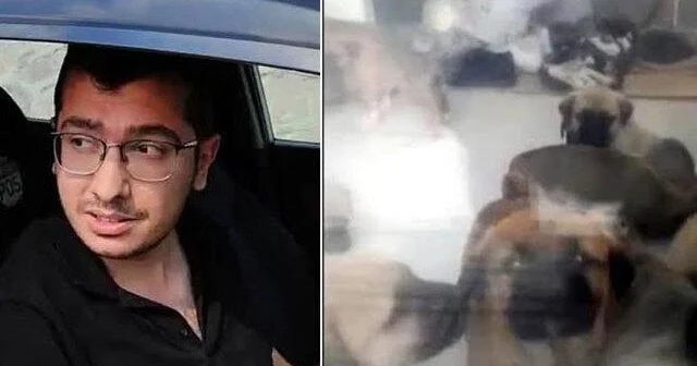 Çoxlu sayda ev heyvanına təcavüz: Doktora 17,5 il həbs cəzası tələbi!