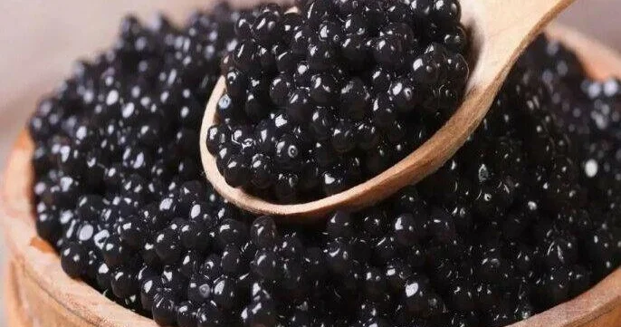 Kürü istehsalında rekord artım: Hamı dada biləcək?