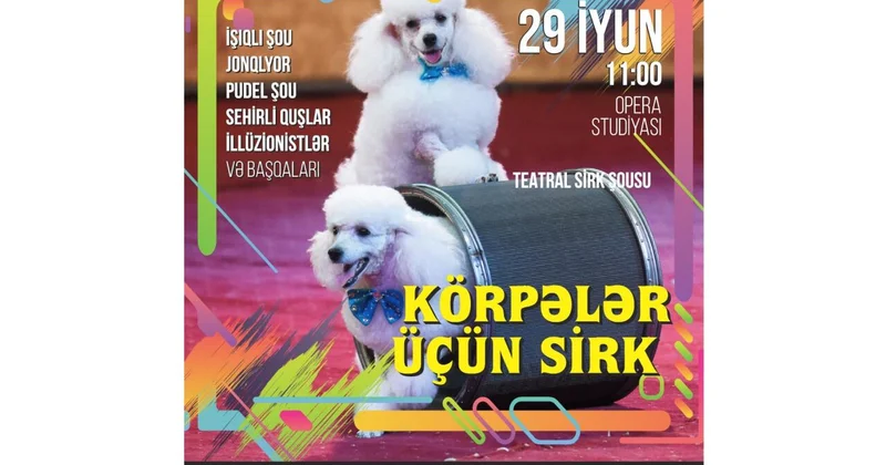 “Balacalar üçün Sirk” adlı teatr tamaşası bütün ailəni sevindirəcək
