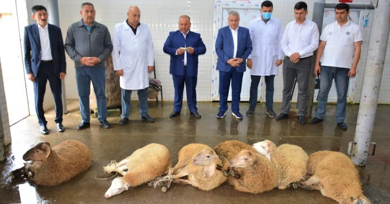 Tərtərdə şəhid ailələrinə və aztəminatlı ailələrə bayram sovqatı paylanıb