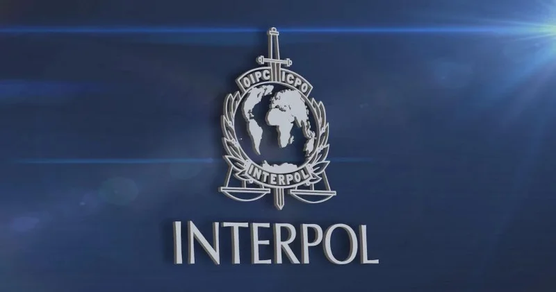 İnterpol: Uşaqların cinsi istismarı ilə bağlı 20 nəfər həbs edilib