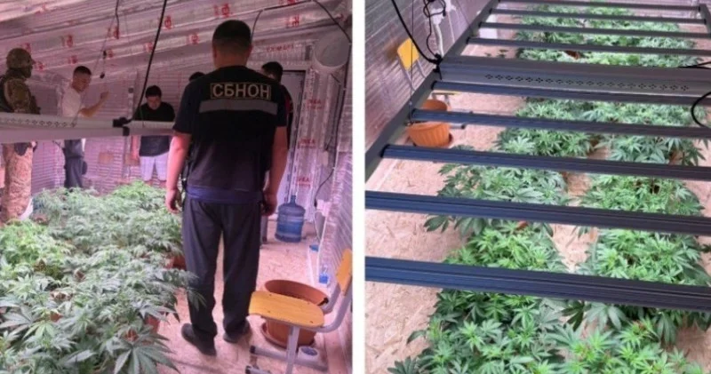 Bişkekdə uşaq bağçasında narkolaboratoriya aşkar edilib