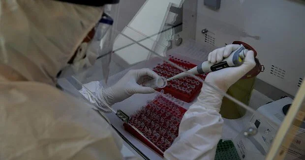 Fəlakət gəlir: COVID 19 dan da betər virus aşkarlandı