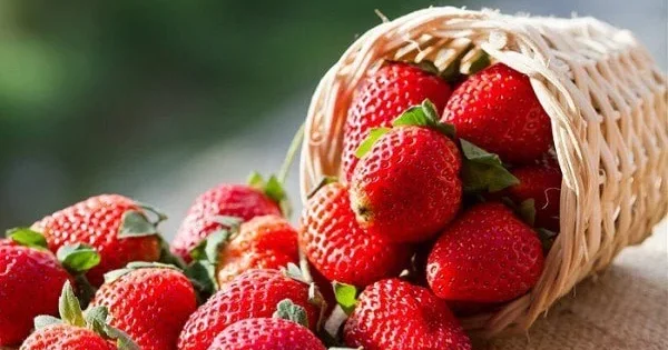 Çiyələkdən uzaq DURUN! XƏBƏRDARLIQ
