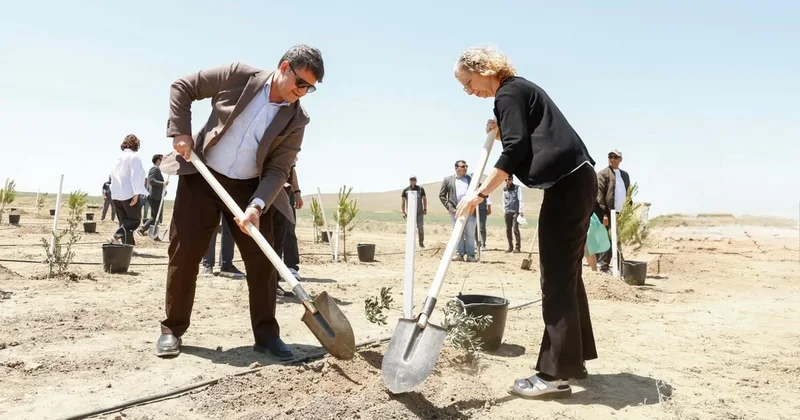 Ümumdünya Ətraf Mühit Günü münasibətilə ağacəkmə aksiyası təşkil olunub