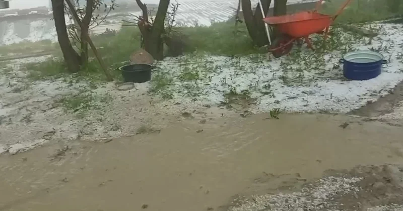 Qubanın dağlıq kəndlərinə dolu düşdü: Təsərrüfatlara ziyan dəydi FOTO VİDEO