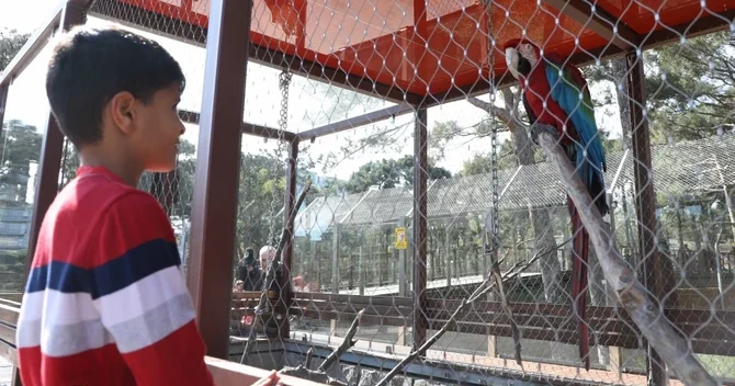 Bakı Zooloji Parkına giriş üçün QİYMƏTLƏR AÇIQLANDI