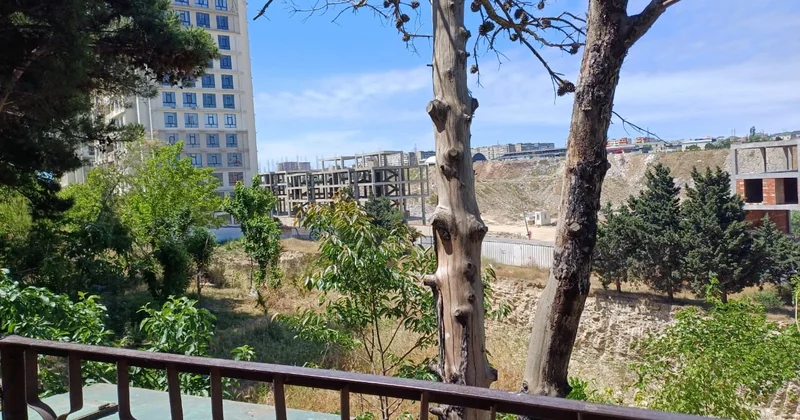 Şəhər nəfəs ala bilmir: yaşıllıq yerləri tikinti layihələrinə qurban gedir
