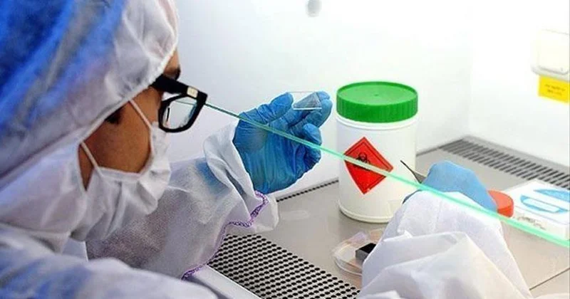 Bu ölkədə Ebolaya yoluxanların sayı 450 ni keçdi