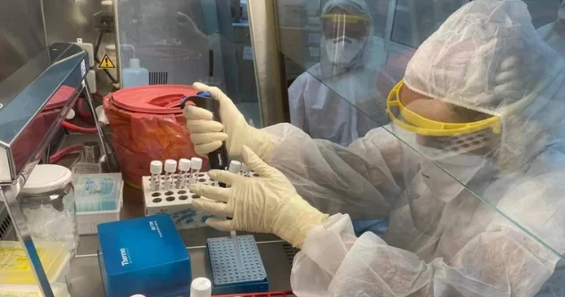 Yarasalardan keçən yeni virus yayılır?