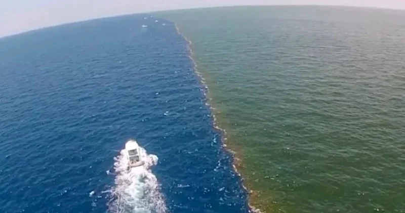 Sakit və Atlantik okeanın bir birinə qarışdığı yerdə su niyə fərqlidir? FOTO