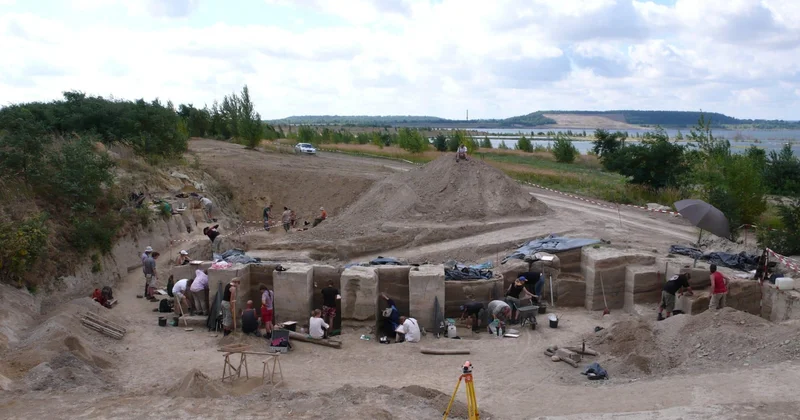 İbtidai zəkanın İzi: neandertallar sümükdən necə yağ çıxarırdılar?