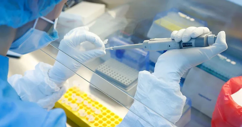 Çindən yeni virus təhlükəsi