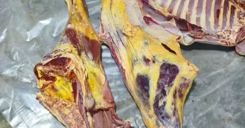 В Азербайджане выявили непригодное к потреблению мясо ФОТО