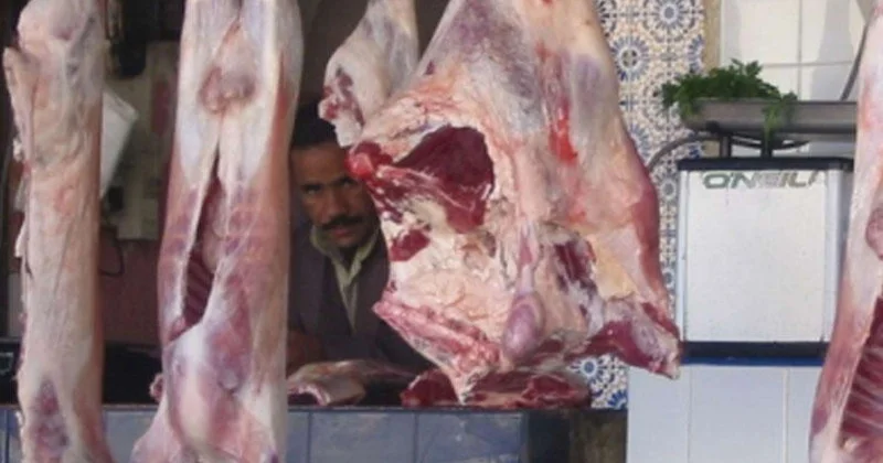 Heyvan idxalı ilə bağlı yeni qaydalar tətbiq olunacaq: Ət bahalaşa bilər?