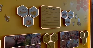 Media nümayəndələri Şəhərdən Kəndə layihəsinin iştirakçıları ilə görüşdü (Fotolar)