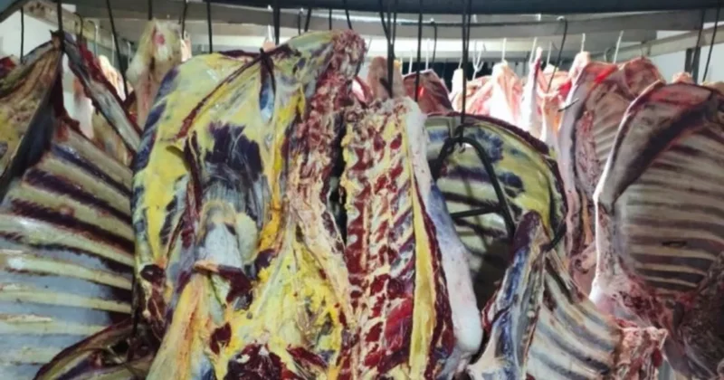АПБА выявило в Масаллы более 3 тонн испорченного мяса