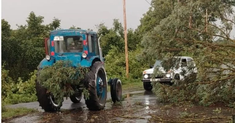 Qaxda qeyri sabit hava şəraiti: Ağaclar aşdı, işıq kəsildi FOTO