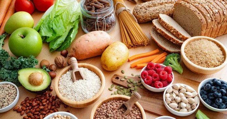 Protein və lifli qidaların orqanizmə faydası