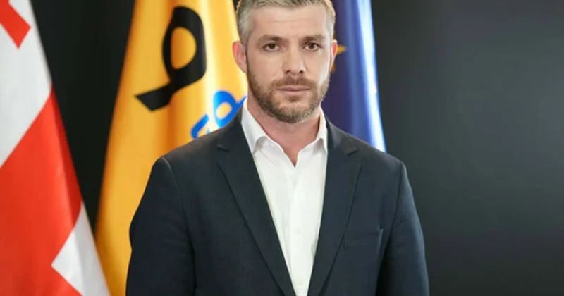 Gürcü siyasətçi: Anakliya limanı dünyanın Qafqaza açılan qapısı olmalıdır