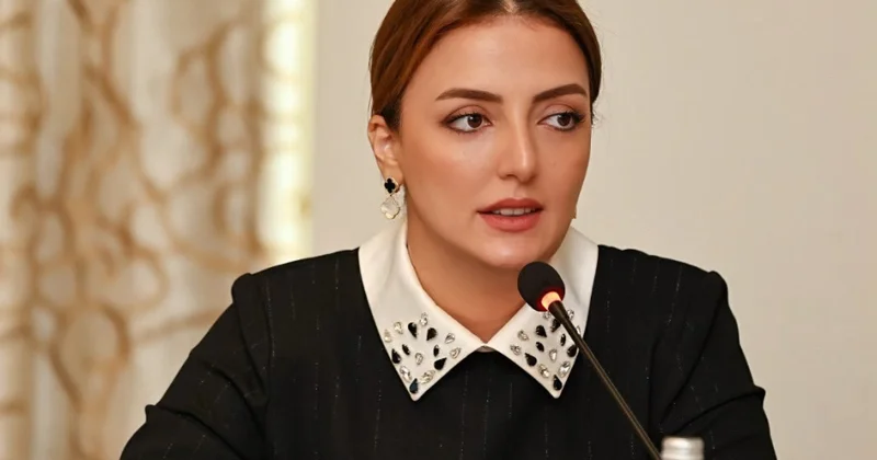 Rəqəmsal inkişaf strategiyası Azərbaycanın innovasiya gələcəyini formalaşdırır RƏY