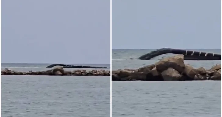 На бакинском пляже в море сбрасываются сточные воды? Заявление Госагентства водных ресурсов