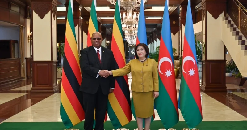 Milli Məclis və Zimbabve Milli Assambleyasının sədrlərinin görşü olub