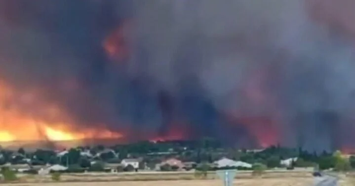 Крупные лесные пожары разбушевались во Франции ВИДЕО