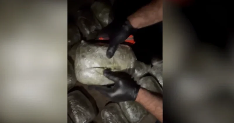 В Гарадаге из незаконного оборота изъято более 34 кг наркотиков