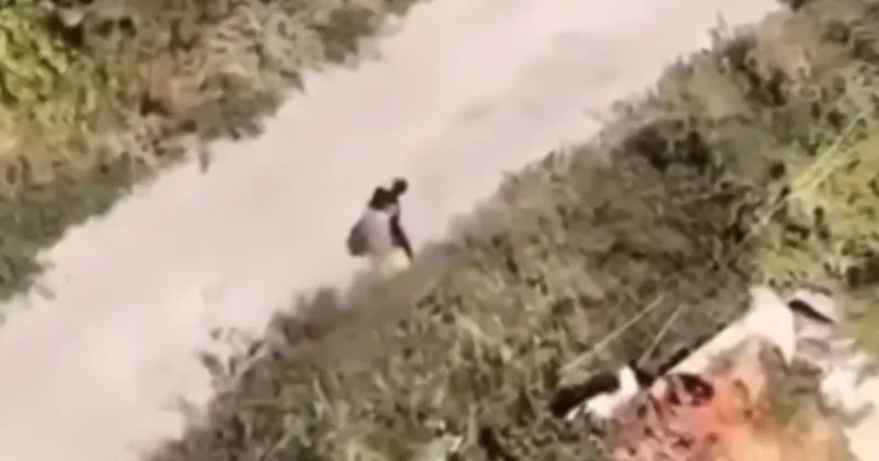 Российский военный расстрелял мирного жителя видео