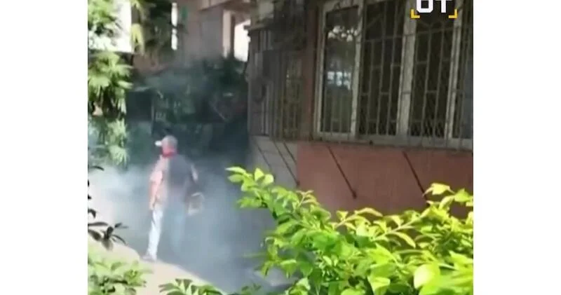 Вспышка смертельной болезни в Китае ВИДЕО