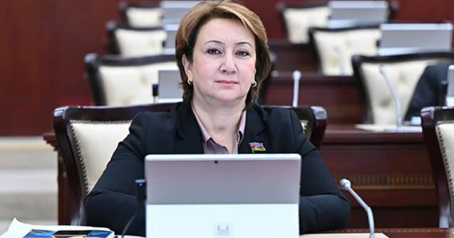 “Azərbaycan nə Ukraynadır, nə də Ermənistan, öz gücünə arxalanan müstəqil dövlətdir”