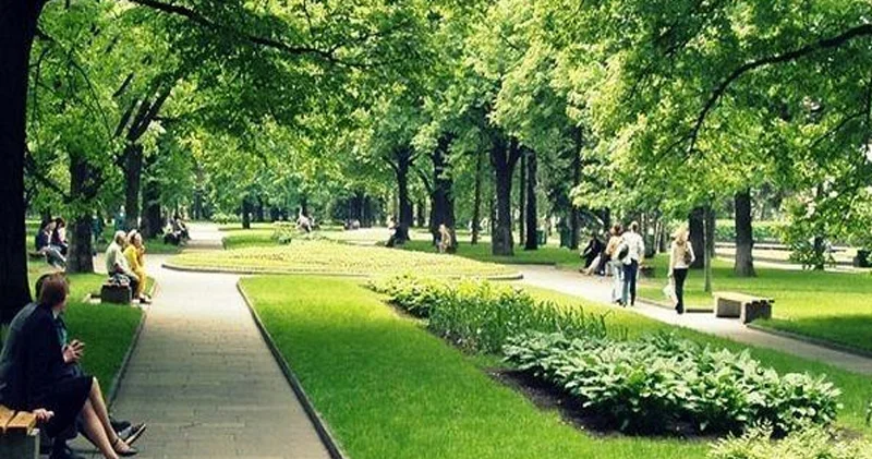 Əkilən ağacın taleyi: Əsas məsələ əkmək deyil, yaşatmaqdır