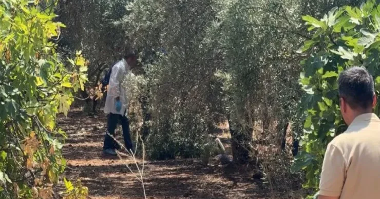 Gənc oğlanın əlləri arxadan bağlanmış meyiti tapıldı