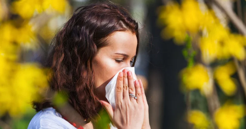 Yay allergiyaları: Risklər və onlardan qorunmaq yolları