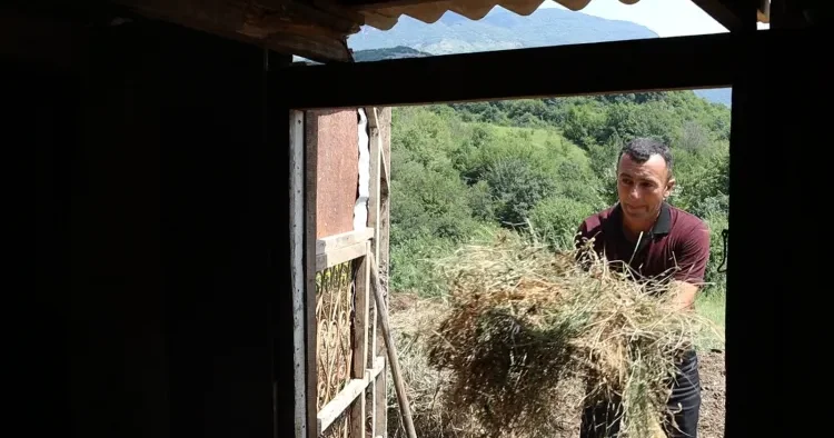 Ağdərənin Kolatağ kəndində yeni həyat FOTO