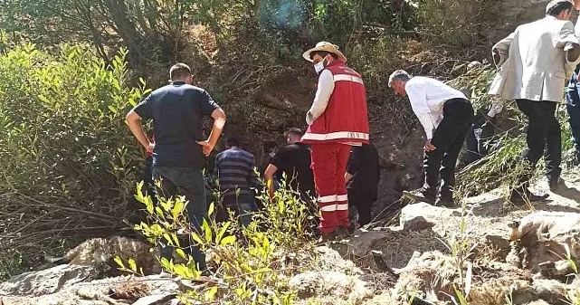 334 baş xırdabuynuzlu heyvan qayalardan yıxılaraq tələf olub
