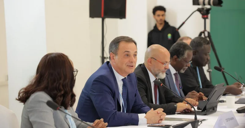 Afrika Azərbaycanın iqlim sahəsindəki diplomatik fəaliyyətini yüksək qiymətləndirir FOTOLAR