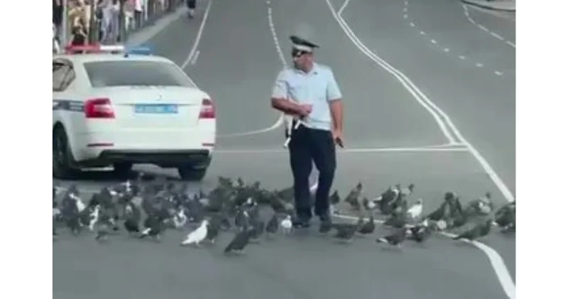 Полицейский и голуби покорили азиатские соцсети ВИДЕО