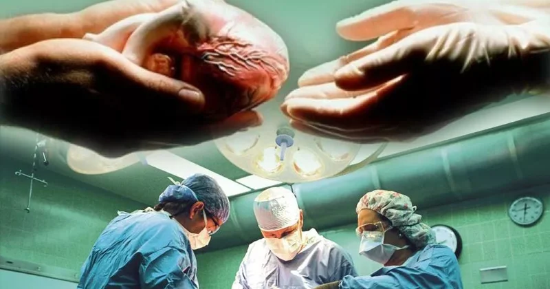 İslamın orqan donorluğu və transplantasiyasına münasibəti...