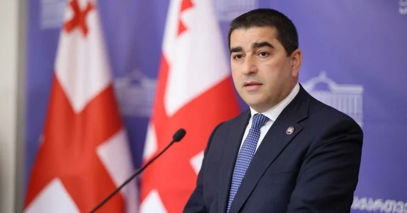 Almaniya səfiri Gürcüstanda ekstremist qrupu dəstəkləməkdə ittiham olunub