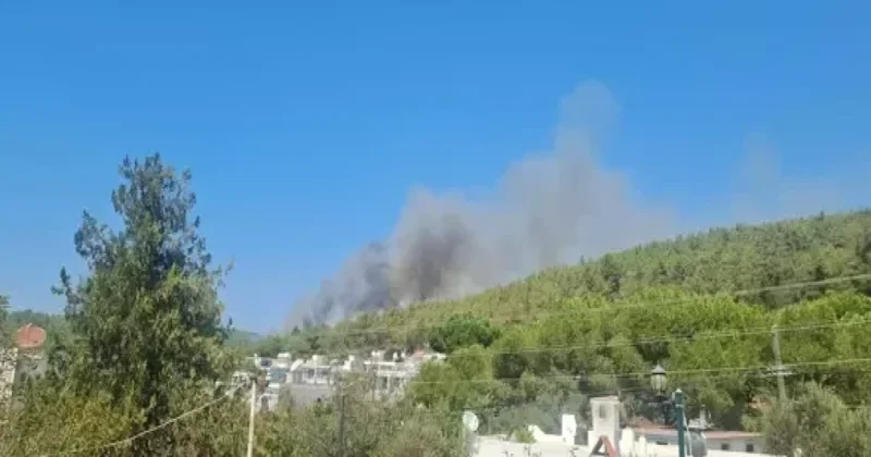 Bodrumda meşə yanır