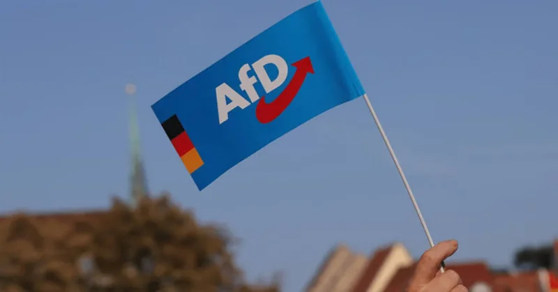 Reuters: AfD лидирует на выборах в парламент германской Саксонии Анхальт