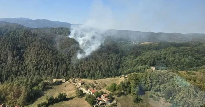 Bosniyada başlayan meşə yanğınları Xorvatiyaya keçib