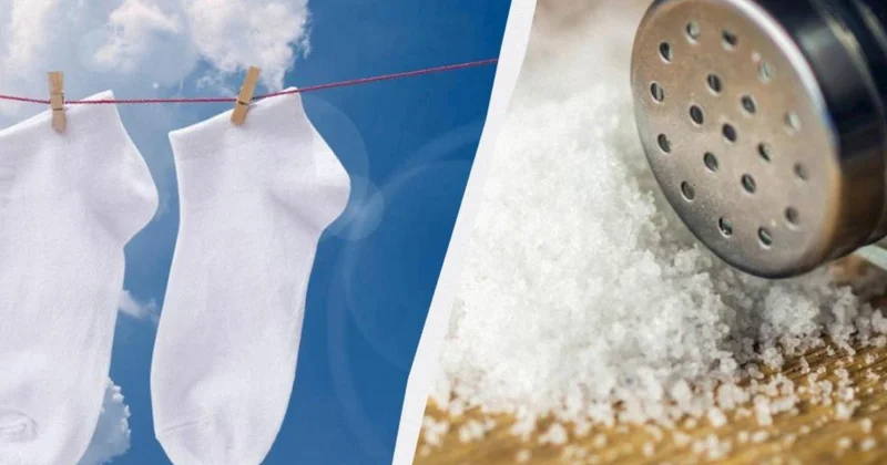 Corabları hopmuş kirdən necə təmizləmək olar?