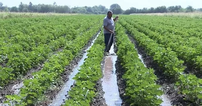Milyonlarla pul hara gedir? Ekspertdən şok xəbərdarlıq