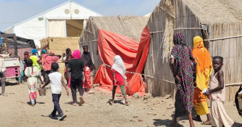 Sudanın Qərbi Kordofan vilayətində vəba sürətlə yayılır