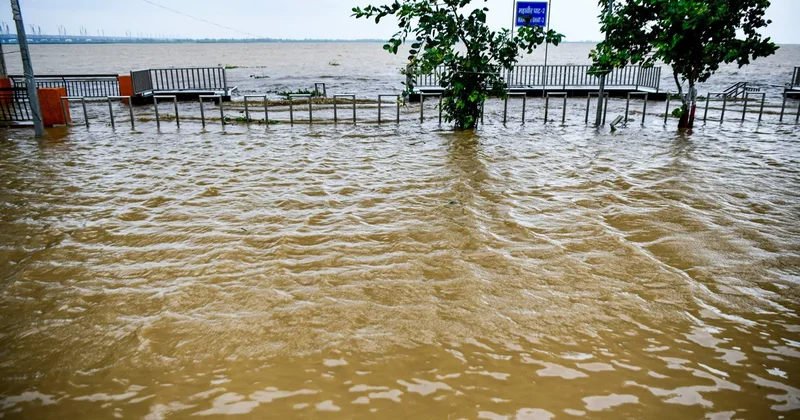 Bihar ştatındakı daşqınlardan 1,685 milyon milyondan çox insan zərər çəkib